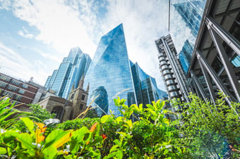 Foliage in front of London City backdrop